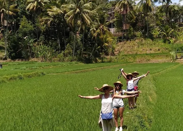 Mayong Bali And Munduk