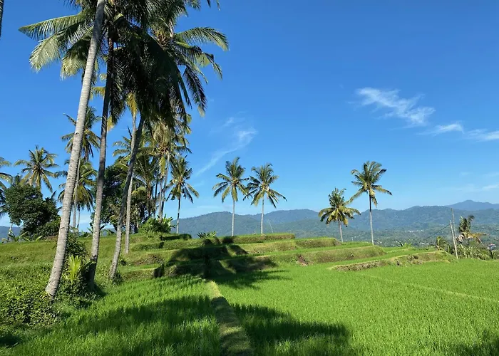 Mayong Bali And Hostel