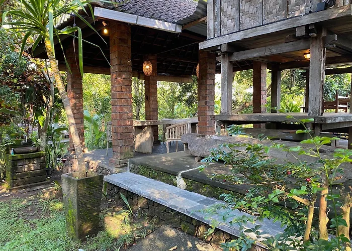 Mayong Bali And * Munduk